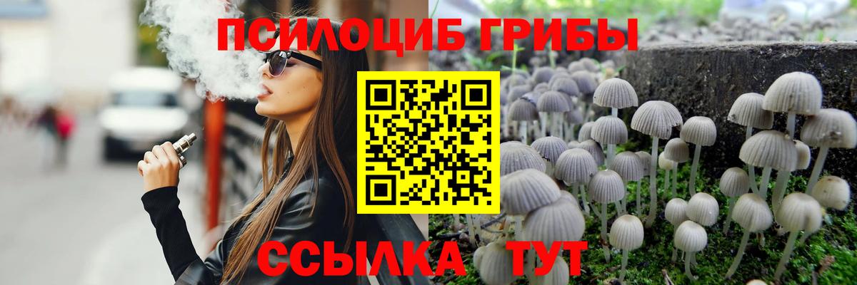 Псилоцибиновые грибы прущие грибы Соликамск
